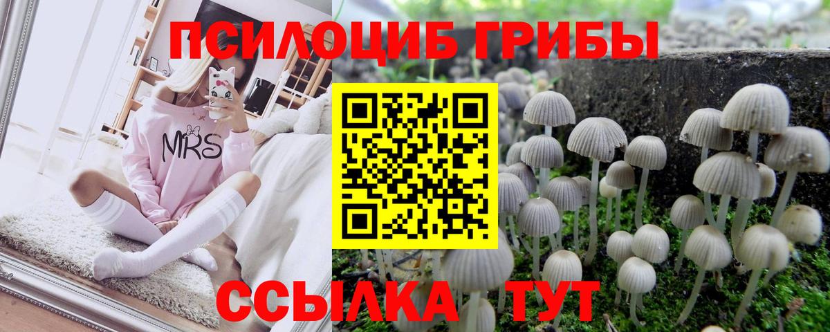 Псилоцибиновые грибы ЛСД  Вход с VPN  Галлюциногенные грибы Cubensis  Егорьевск 