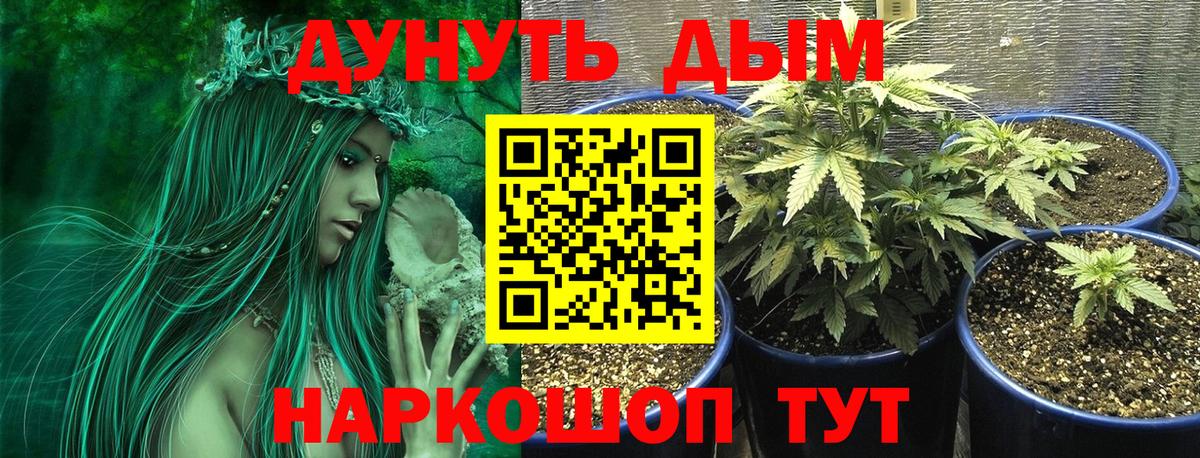 Марихуана семена Егорьевск